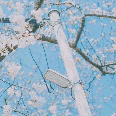 小小大眼萌手游下载