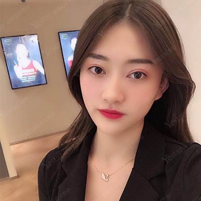 龙族大陆手游bt版下载